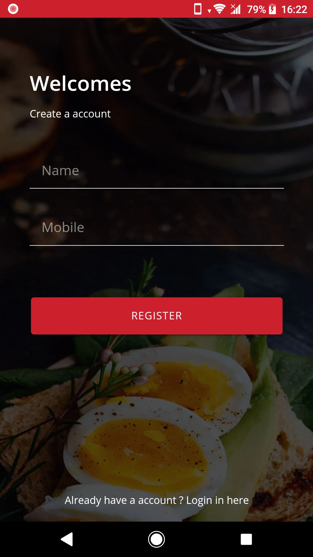 salex screenshot